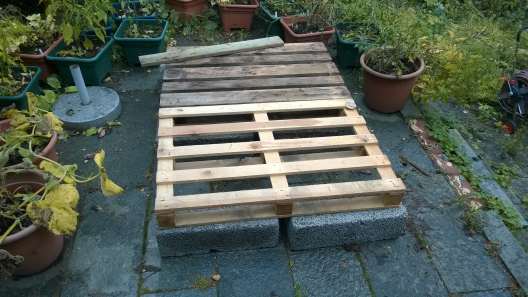 katthus under byggnationen